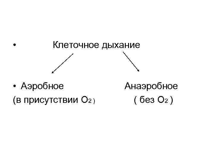 Клеточное дыхание у растений