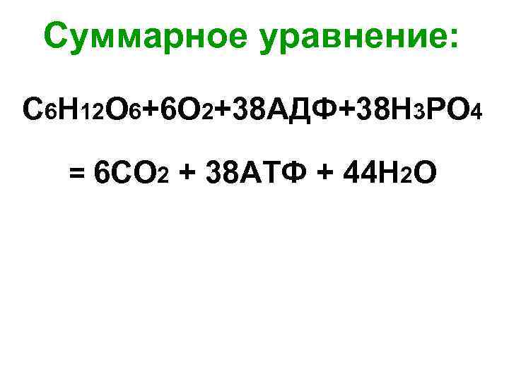  Суммарное уравнение: С 6 Н 12 О 6+6 О 2+38 АДФ+38 Н 3