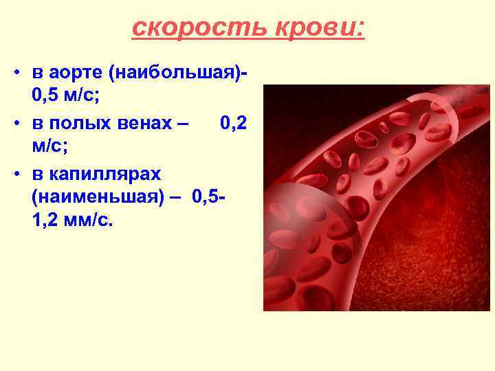 Скорость кровотока в капиллярах. Скорость движения крови по сосудам. Скорость тока крови. Скорость крови в сосудах. Скорость тока крови в артериях.