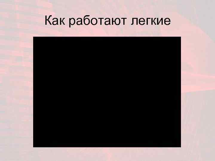 Как работают легкие 