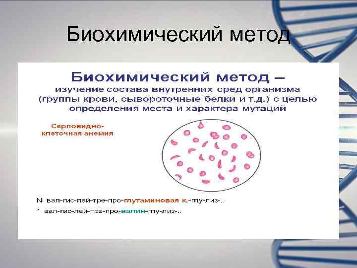 Биохимический метод 