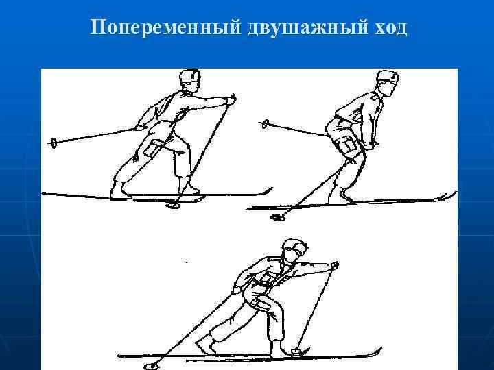 Попеременный двушажный ход 