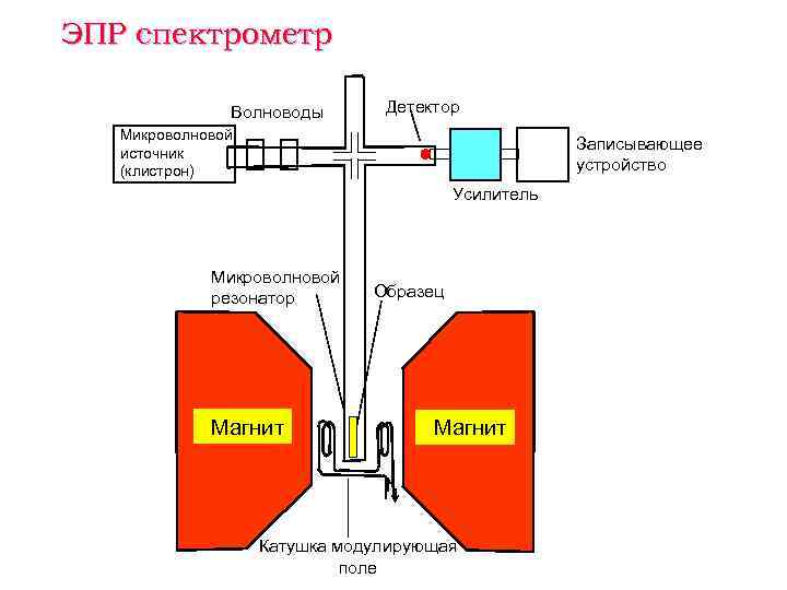 ЭПР спектрометр   Волноводы  Детектор  Микроволновой  источник   