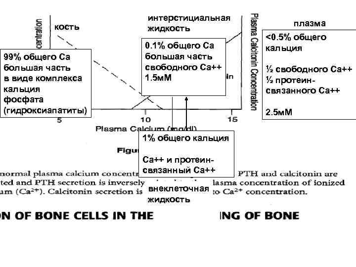      интерстициальная  кость      