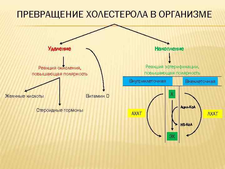 ПРЕВРАЩЕНИЕ ХОЛЕСТЕРОЛА В ОРГАНИЗМЕ Удаление Накопление Реакция эстерификации, повышающая полярность Реакция окисления, повышающая полярность