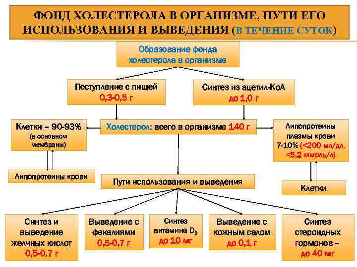 ФОНД ХОЛЕСТЕРОЛА В ОРГАНИЗМЕ, ПУТИ ЕГО ИСПОЛЬЗОВАНИЯ И ВЫВЕДЕНИЯ (В ТЕЧЕНИЕ СУТОК) Образование фонда