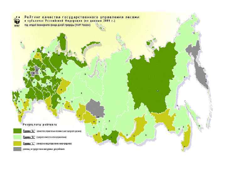 Мониторинг лесных экосистем