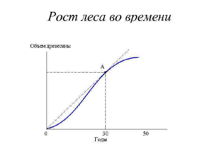 Рост леса во времени 