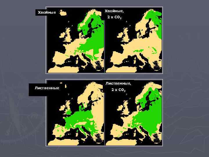 Хвойные, 2 x CO 2 Лиственные, Лиственные 2 x CO 2 
