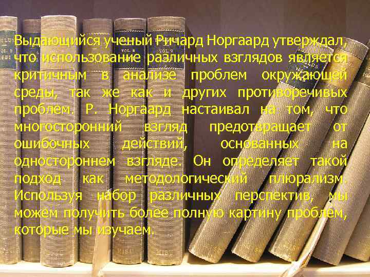 Выдающийся ученый Ричард Норгаард утверждал, что использование различных взглядов является критичным в анализе проблем