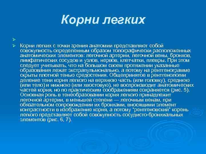     Корни легких Ø Ø  Корни легких с точки зрения
