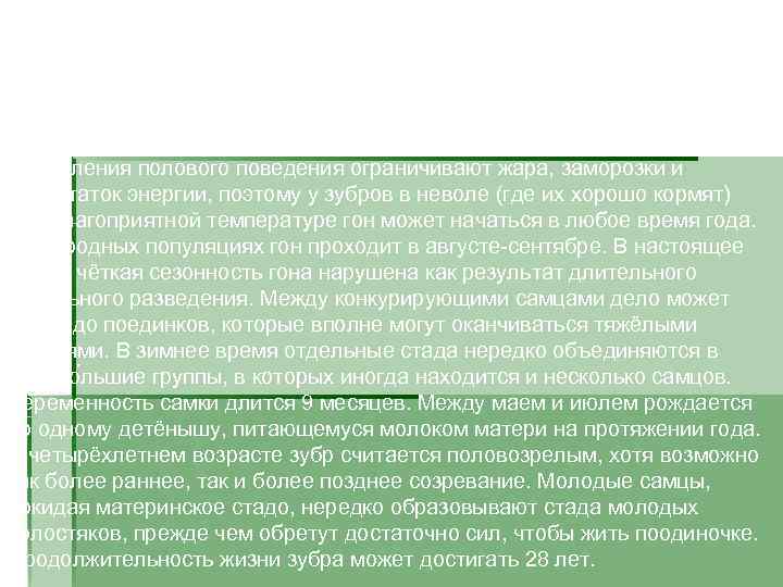      Поведение Зубры живут небольшими стадами величиной от трех до