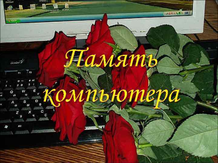  Память компьютера 