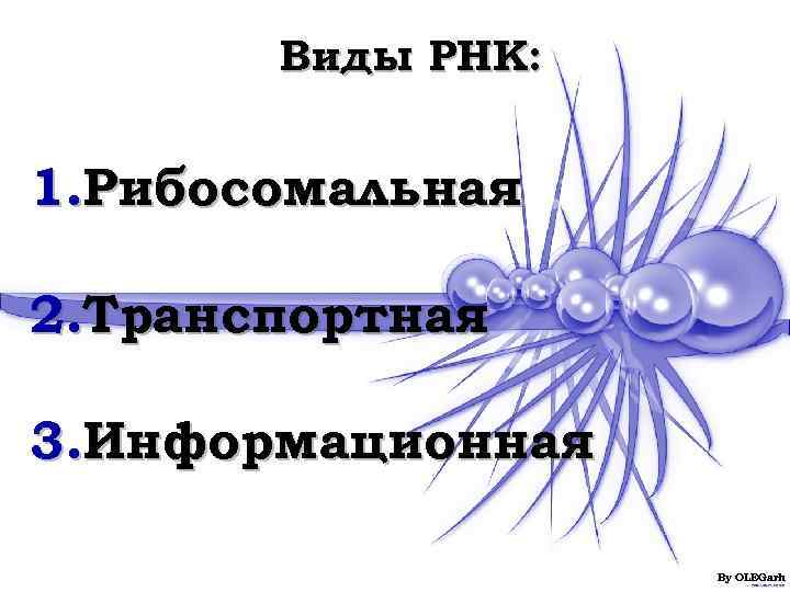   Виды РНК:  1. Рибосомальная 2. Транспортная 3. Информационная   