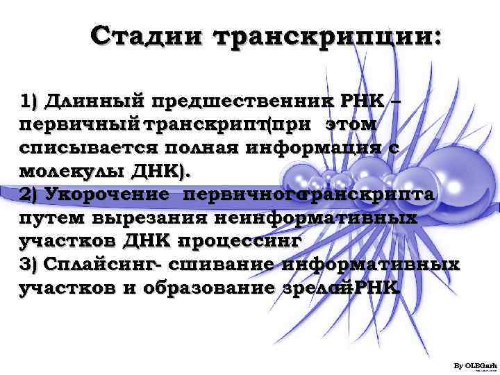  Стадии транскрипции:  1) Длинный предшественник РНК – первичный транскрипт(при этом списывается полная