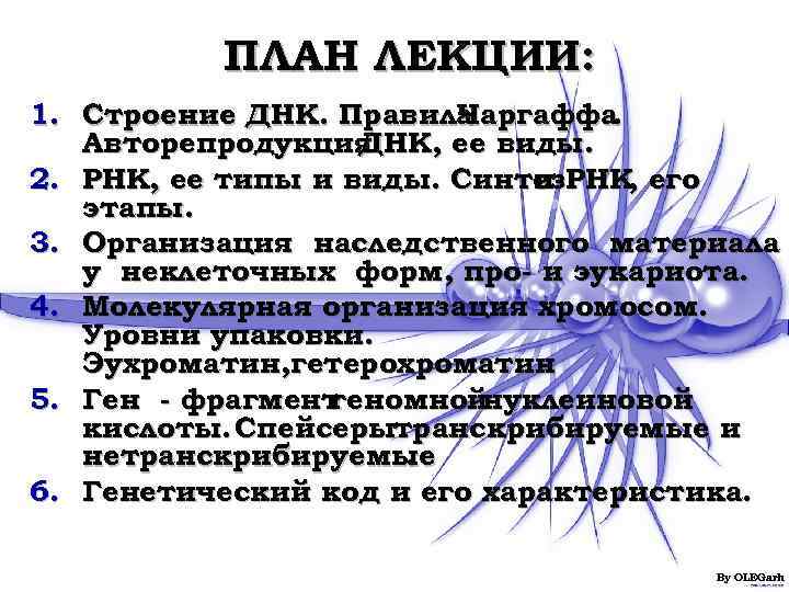    ПЛАН ЛЕКЦИИ: 1. Строение ДНК. Правила. Чаргаффа. Авторепродукция ДНК, ее виды.