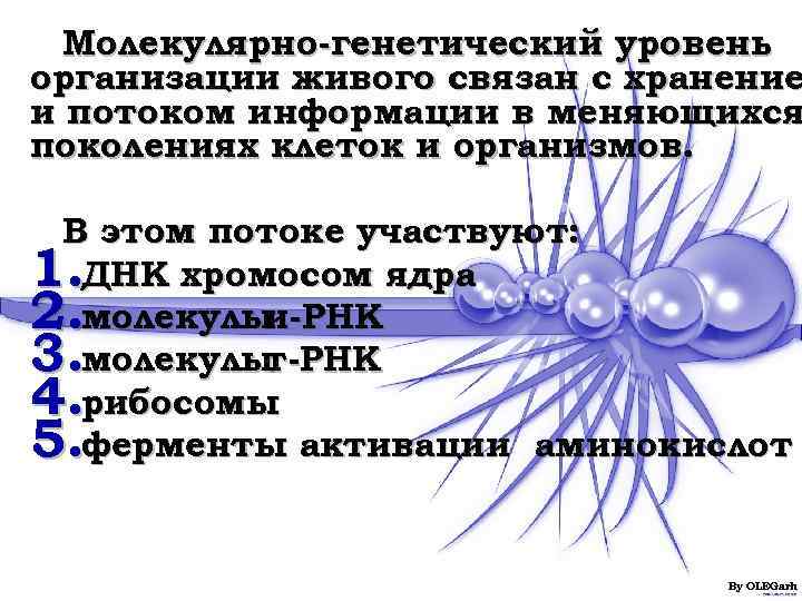  Молекулярно-генетический уровень организации живого связан с хранение и потоком информации в меняющихся поколениях