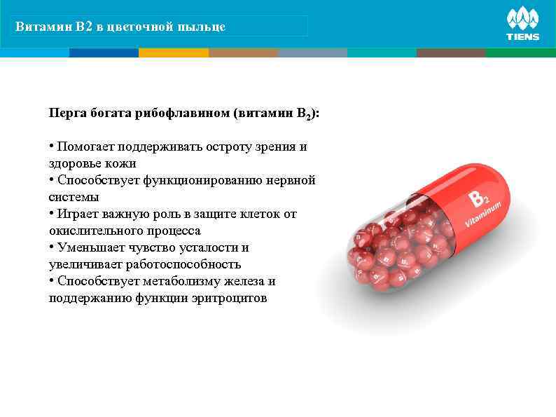 Витамин B 2 вits influence on ZINC and цветочной пыльце human body  Перга