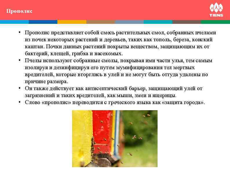 Прополис ZINC and  its influence on human body • Прополис представляет собой смесь