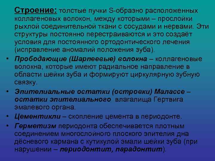   Строение: толстые пучки S-образно расположенных коллагеновых волокон, между которыми – прослойки рыхлой