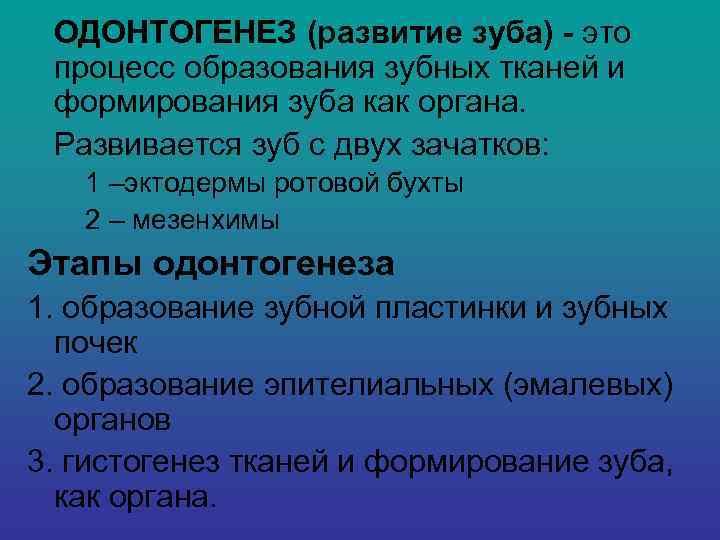   ОДОНТОГЕНЕЗ (развитие зуба) - это процесс образования зубных тканей и формирования зуба