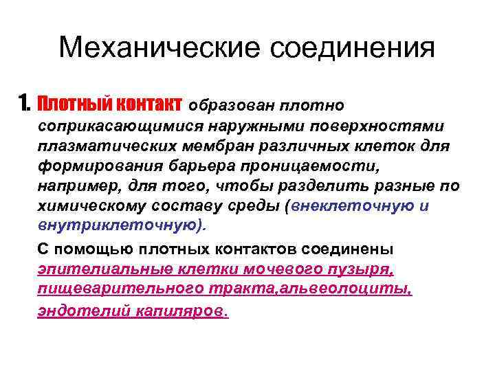   Механические соединения 1. Плотный контакт образован плотно соприкасающимися наружными поверхностями плазматических мембран