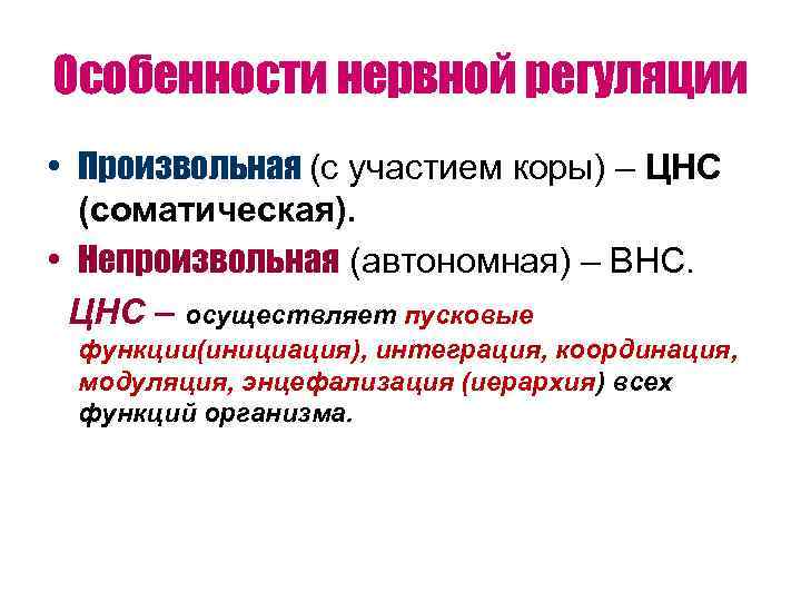 Особенности нервной регуляции • Произвольная (с участием коры) – ЦНС  (соматическая).  •