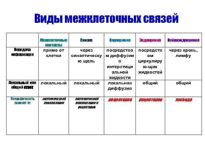    Виды межклеточных связей   Межклеточные  Синапс  Паракриния 