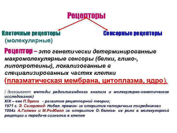       Рецепторы Клеточные рецепторы     