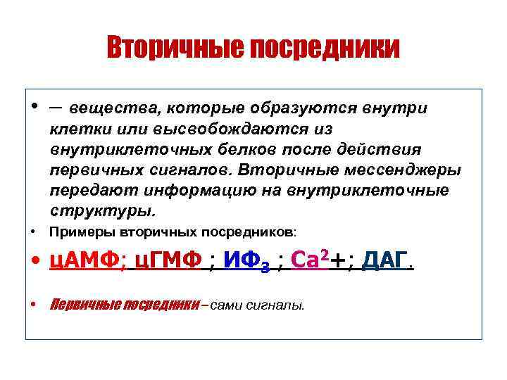    Вторичные посредники • – вещества, которые образуются внутри  клетки или