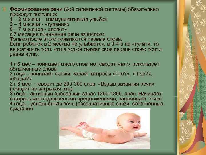 Формирование речи (2 ой сигнальной системы) обязательно проходит поэтапно: 1 – 2 месяца Формирование речи (2 ой сигнальной системы) обязательно проходит поэтапно: 1 – 2 месяца