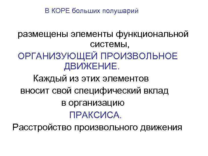  В КОРЕ больших полушарий  размещены элементы функциональной   системы,  ОРГАНИЗУЮЩЕЙ