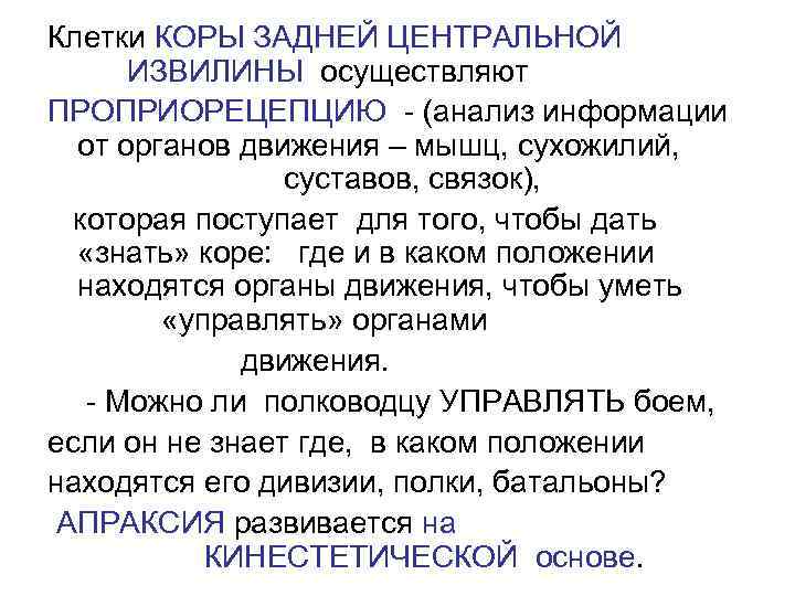 Клетки КОРЫ ЗАДНЕЙ ЦЕНТРАЛЬНОЙ  ИЗВИЛИНЫ осуществляют ПРОПРИОРЕЦЕПЦИЮ - (анализ информации  от органов