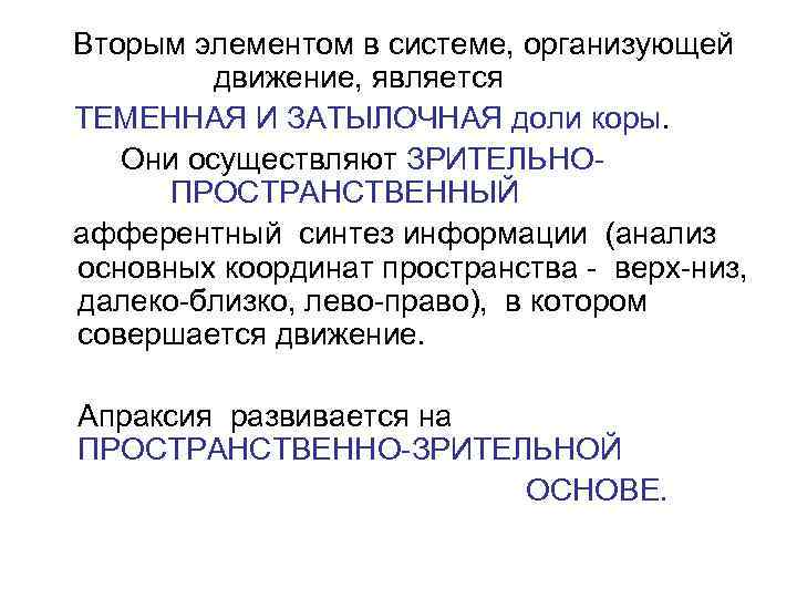 Вторым элементом в системе, организующей   движение, является ТЕМЕННАЯ И ЗАТЫЛОЧНАЯ доли коры.