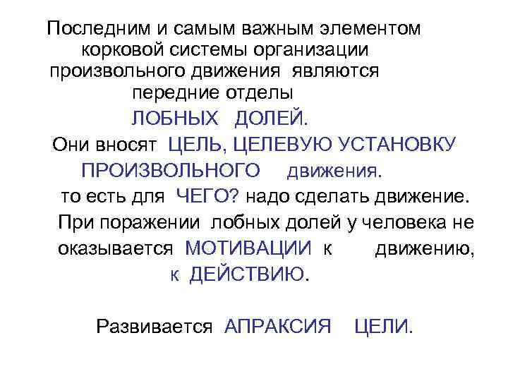 Последним и самым важным элементом  корковой системы организации произвольного движения являются  