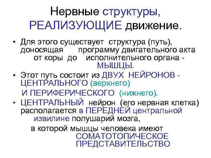  Нервные структуры, РЕАЛИЗУЮЩИЕ движение.  • Для этого существует структура (путь),  доносящая