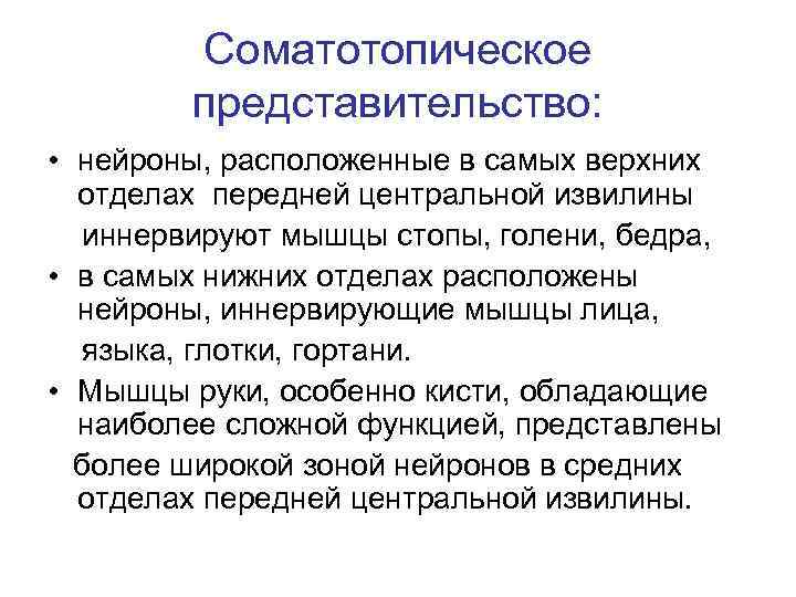   Соматотопическое   представительство:  • нейроны, расположенные в самых верхних 