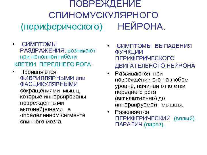    ПОВРЕЖДЕНИЕ  СПИНОМУСКУЛЯРНОГО (периферического) НЕЙРОНА.  •  СИМПТОМЫ ВЫПАДЕНИЯ 