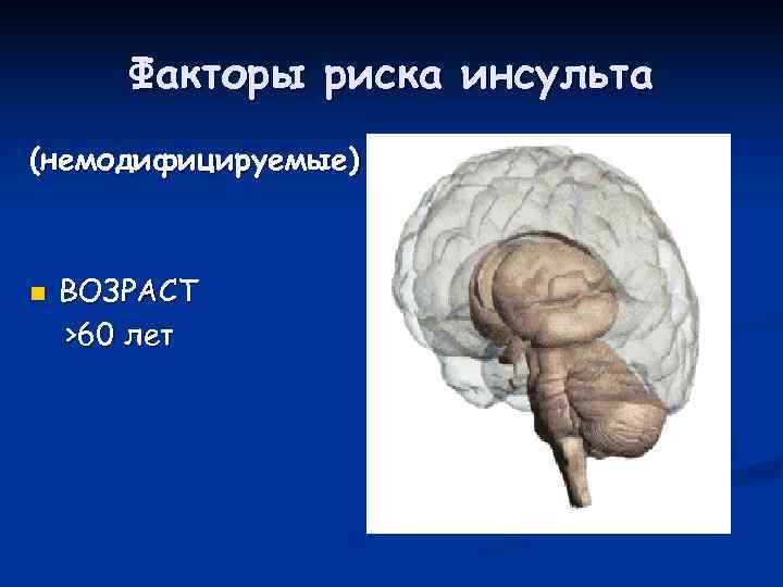   Факторы риска инсульта (немодифицируемые)  n  ВОЗРАСТ >60 лет 