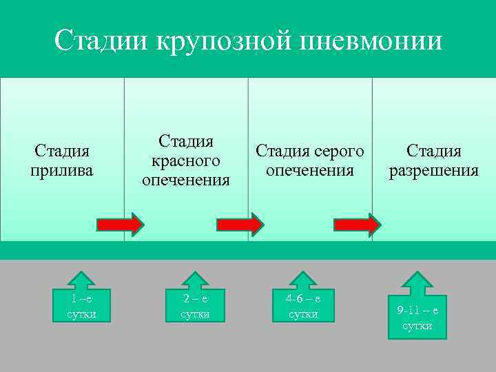  Стадии крупозной пневмонии   Стадия серого Стадия   красного прилива 