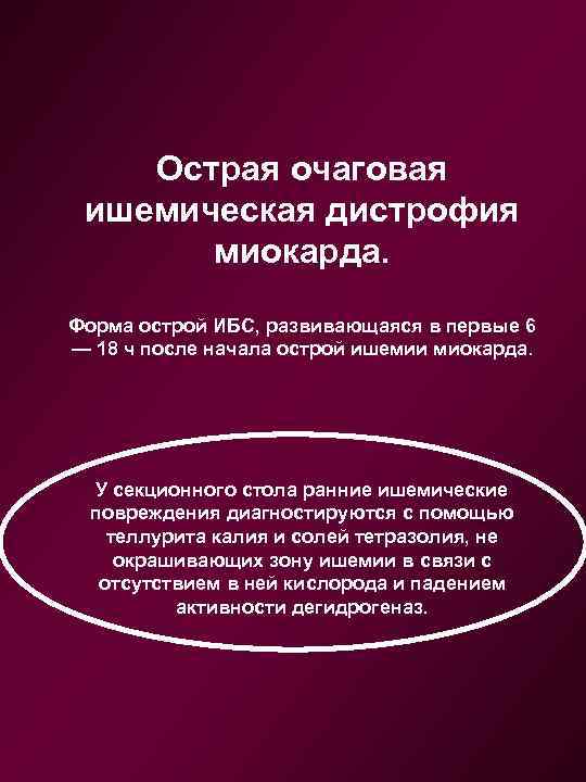 Острая очаговая ишемическая дистрофия миокарда. Форма острой ИБС, развивающаяся в первые 6 — 18