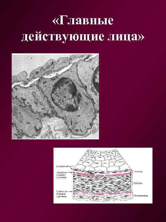  «Главные действующие лица» 