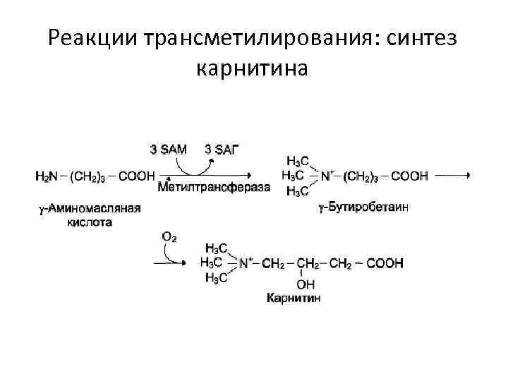 Реакции трансметилирования: синтез   карнитина 