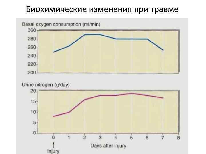 Биохимические изменения при травме 