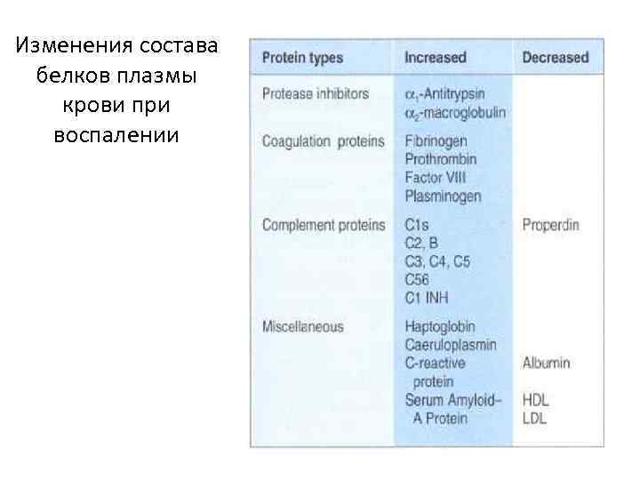 Изменения состава  белков плазмы крови при  воспалении 