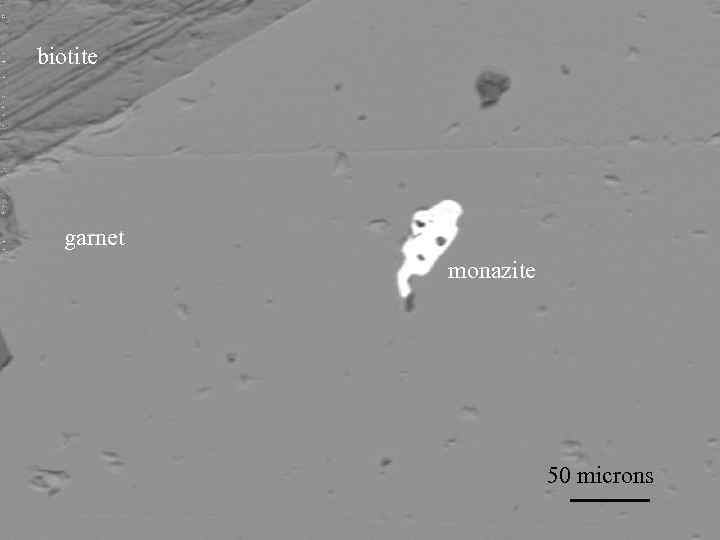 biotite  garnet   monazite      50 microns 