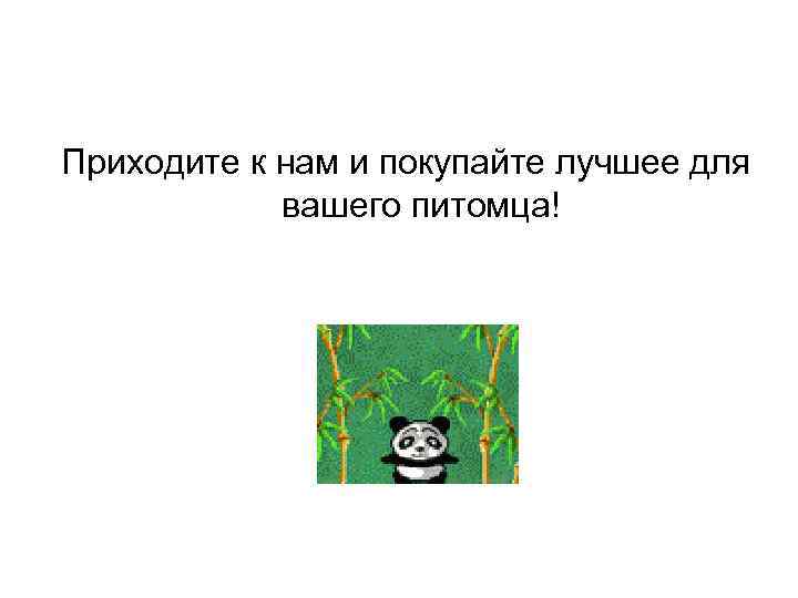 Приходите к нам и покупайте лучшее для   вашего питомца! 