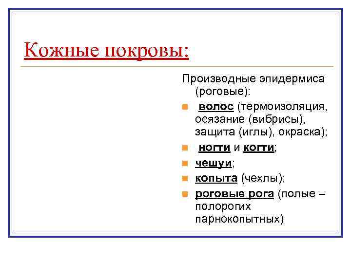 Кожные покровы:    Производные эпидермиса   (роговые):    n