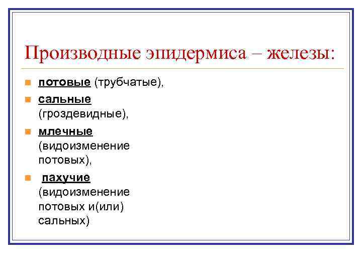 Производные эпидермиса – железы: n  потовые (трубчатые), n  сальные (гроздевидные), n 