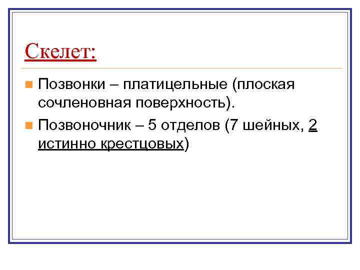 Скелет: n Позвонки – платицельные (плоская  сочленовная поверхность). n Позвоночник – 5 отделов